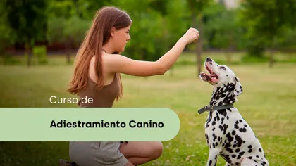 Adiestramiento canino