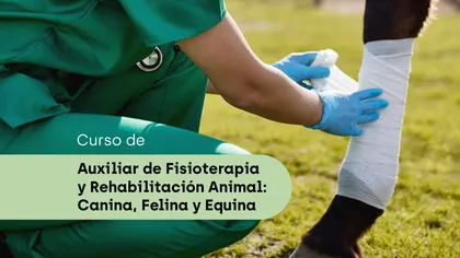 Auxiliar de Fisioterapia y rehabilitación