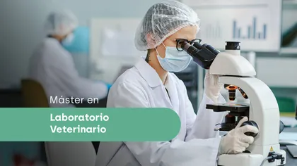 Máster en laboratorio veterinario