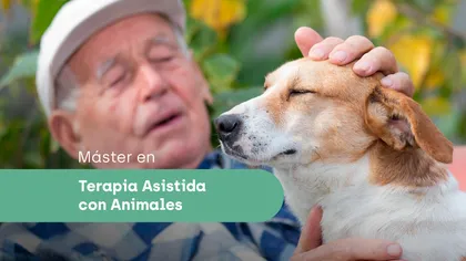 Máster en Terapia asistida con animales