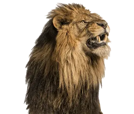 Imagen recurso metodología