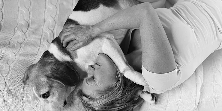 Imagen cabecera post