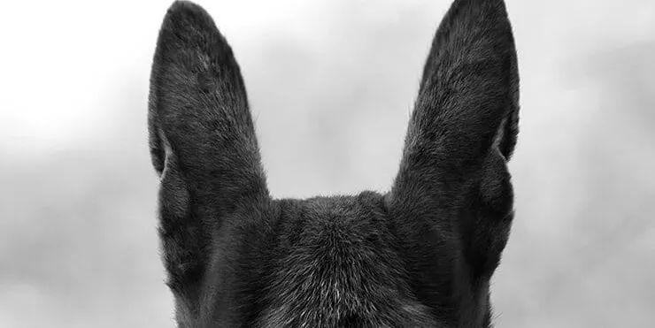 Imagen cabecera post