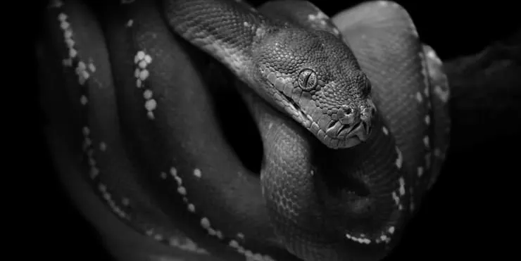 Imagen cabecera post