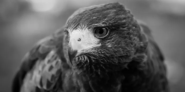 Imagen cabecera post