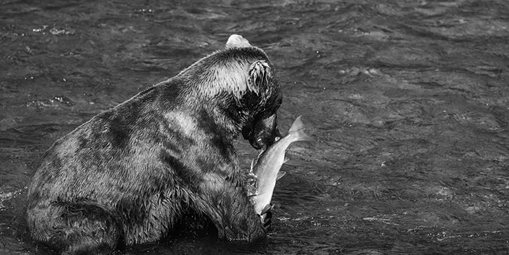 Imagen cabecera post