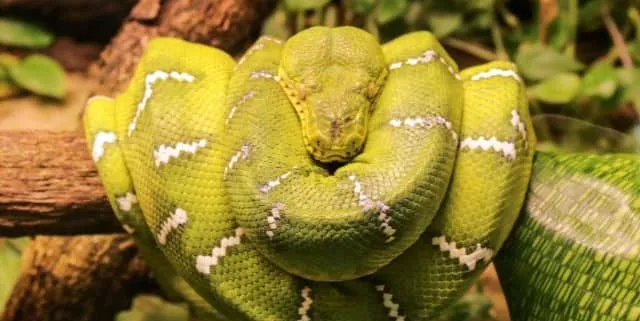 Imagen cabecera post