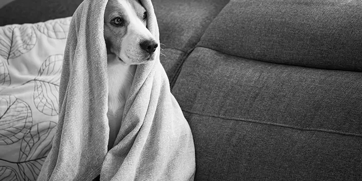 Imagen cabecera post