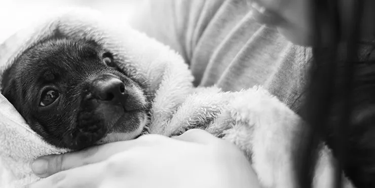 Imagen cabecera post