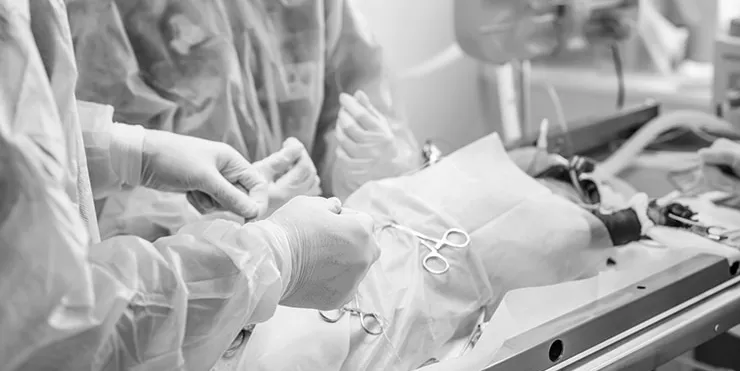 Imagen cabecera post