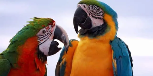 Imagen cabecera post