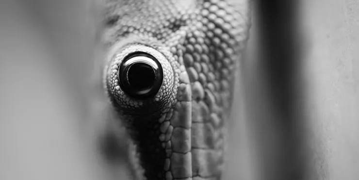 Imagen cabecera post