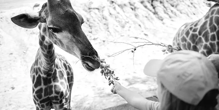 Imagen cabecera post