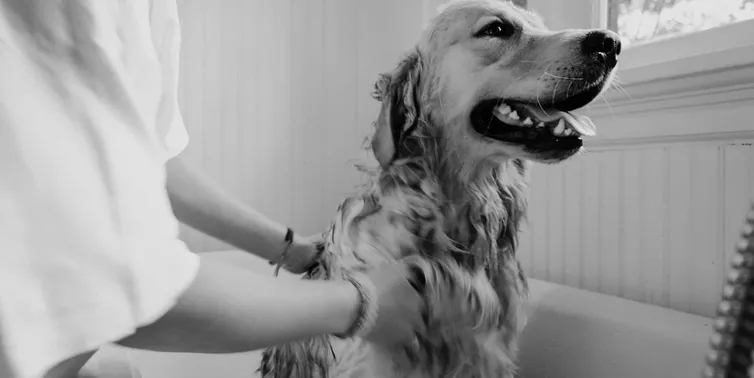 Imagen cabecera post