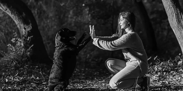 Imagen cabecera post