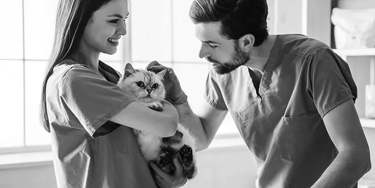 Imagen cabecera post