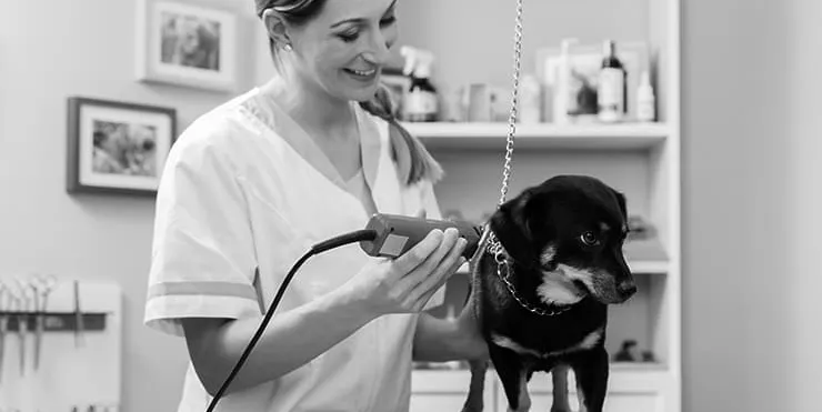 Imagen cabecera post