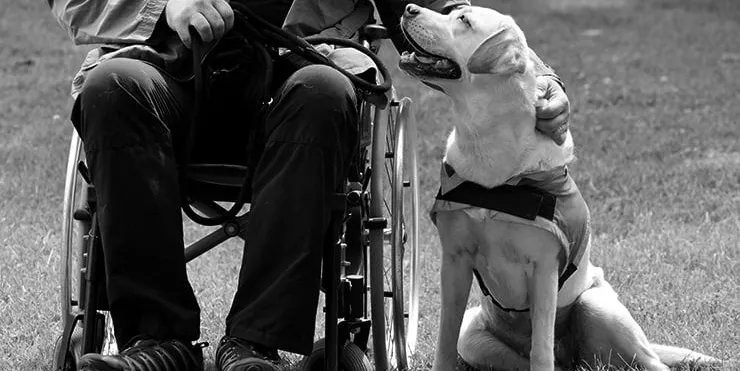 Imagen cabecera post