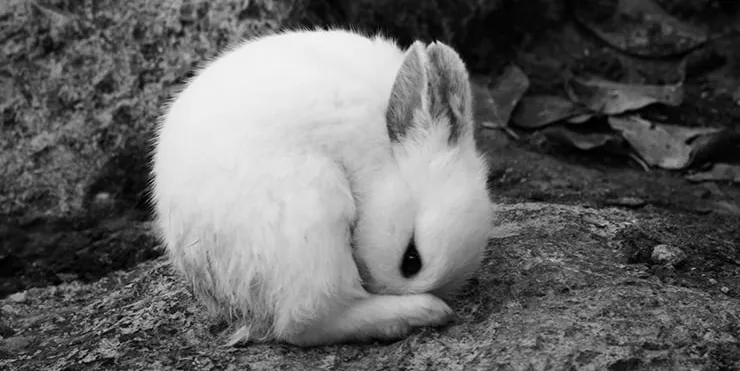 Imagen cabecera post