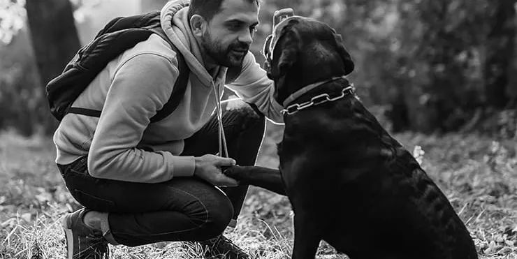 Imagen cabecera post