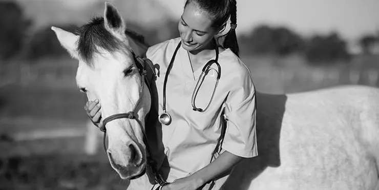 Imagen cabecera post