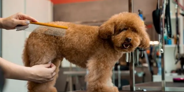 Imagen cabecera post