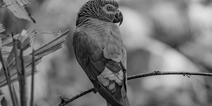 Imagen cabecera post