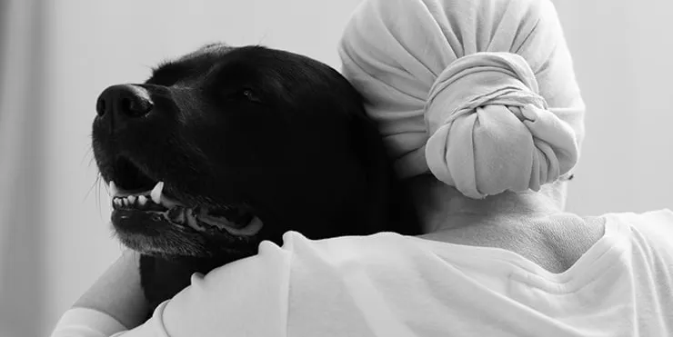 Imagen cabecera post