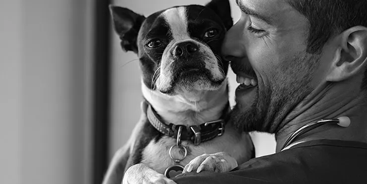 Imagen cabecera post