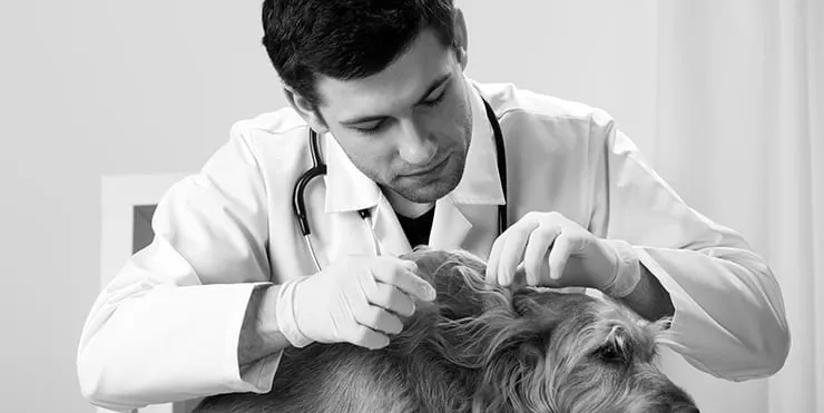 Imagen cabecera post