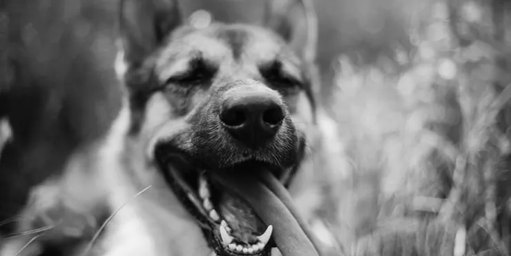 Imagen cabecera post