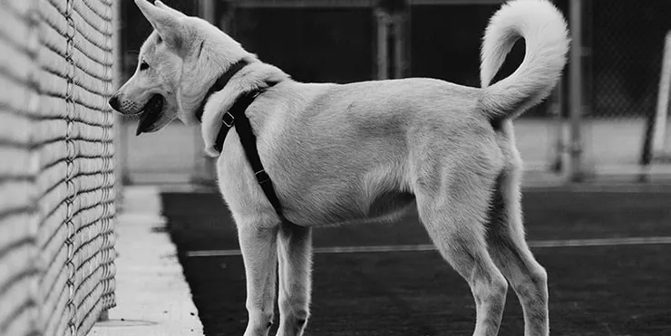 Imagen cabecera post