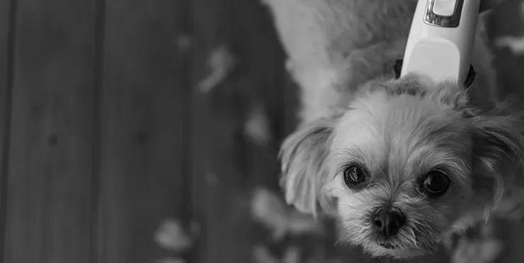 Imagen cabecera post