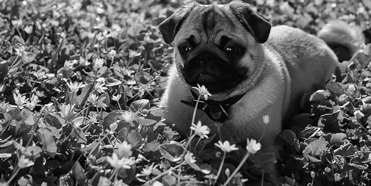 Imagen cabecera post