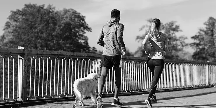 Imagen cabecera post