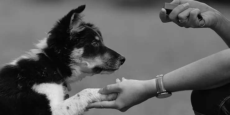 Imagen cabecera post