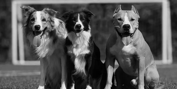 Imagen cabecera post