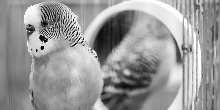 Imagen cabecera post