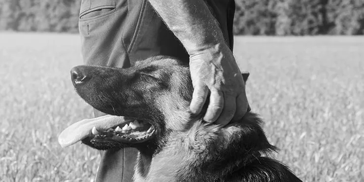 Imagen cabecera post