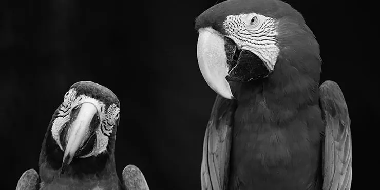 Imagen cabecera post