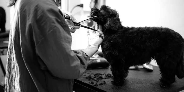 Imagen cabecera post