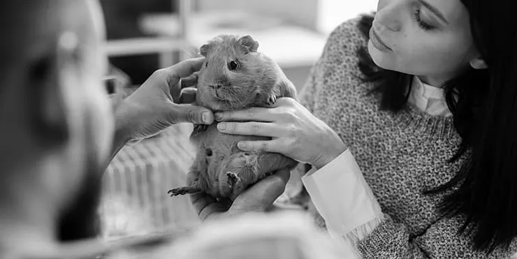 Imagen cabecera post