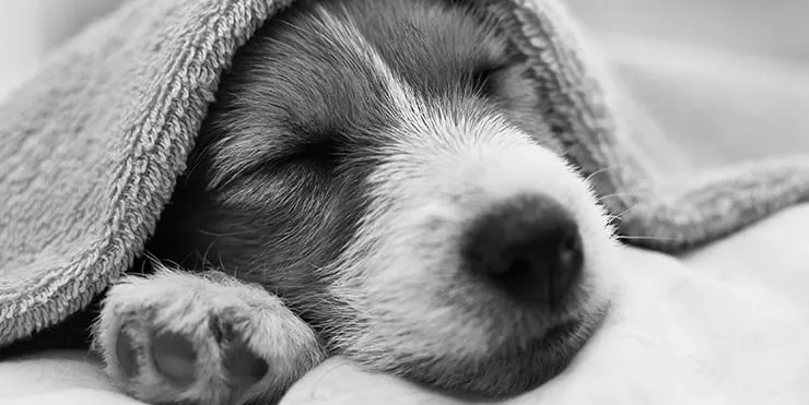 Imagen cabecera post