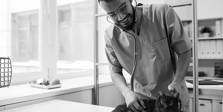 Imagen cabecera post