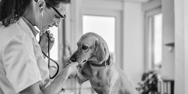 Imagen cabecera post