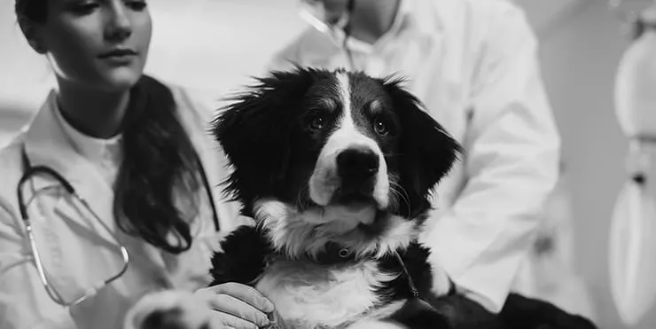 Imagen cabecera post