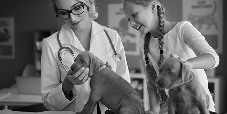 Imagen cabecera post