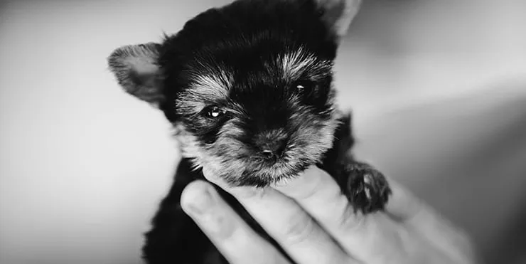 Imagen cabecera post