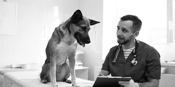 Imagen cabecera post