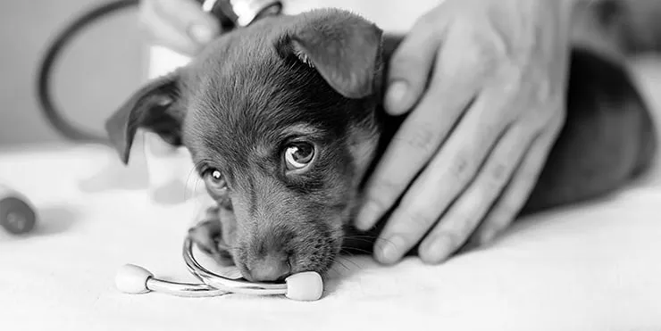 Imagen cabecera post